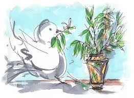 La colomba dell'ulivo (Armando Sodano)